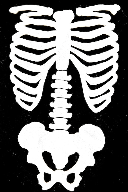 Happy Halloween-decoratie op zwarte achtergrond. Menselijk skelet.