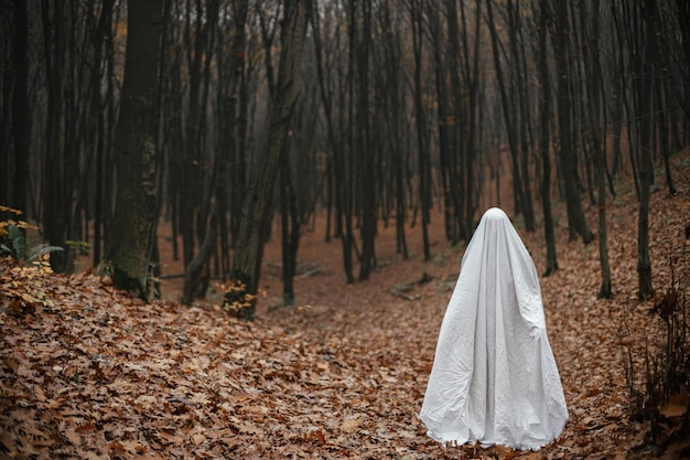 Happy Halloween Spookachtige geest staande in humeurig donker herfstbos Persoon gekleed in wit laken als geest in de herfstbos van de avond