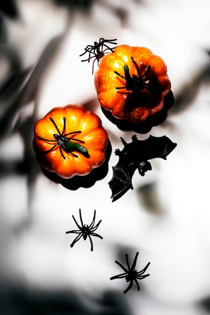 Happy Halloween white background with pumpkins bats spiders with copy space Hard light and harsh shadows