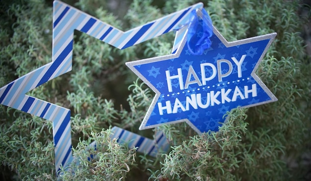 happy hanukkah enjoying