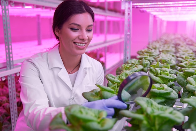 Happy Hispanic gardener examining plant leaves