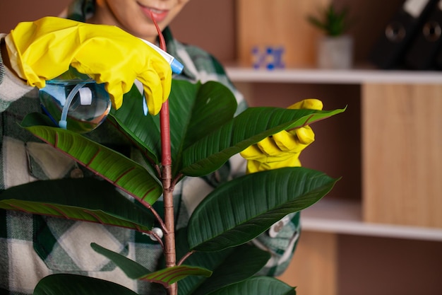 Happy house wife with spray taking care of plants at her home