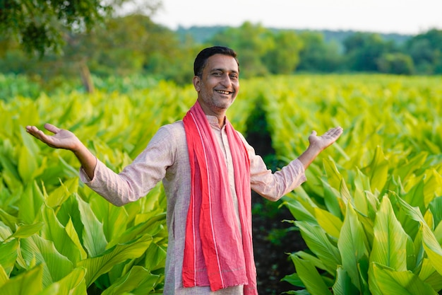 Happy Indian farmer at green turmeric agriculture field