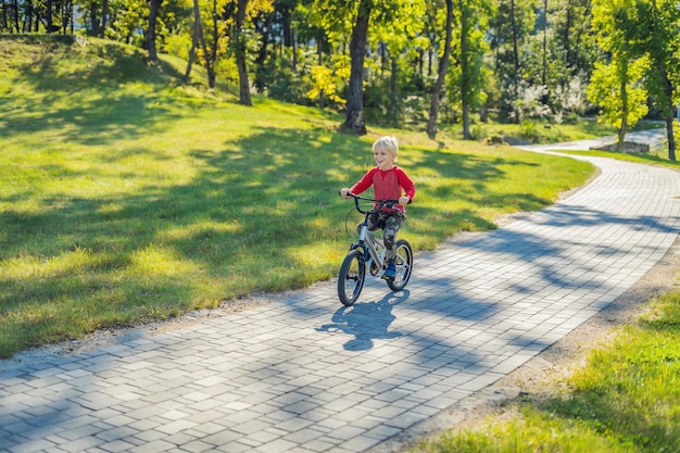 Happy kid boy of 5 years having fun in the park with a bicycle on beautiful day.