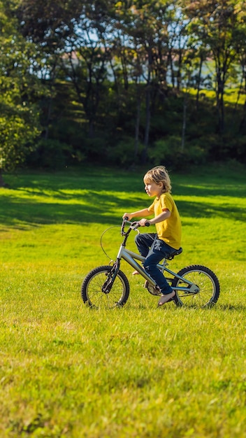 Happy kid boy of years having fun in the park with a bicycle on beautiful day vertical format for