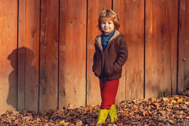 Happy kid having fun in autumn park on warm day on wooden background.