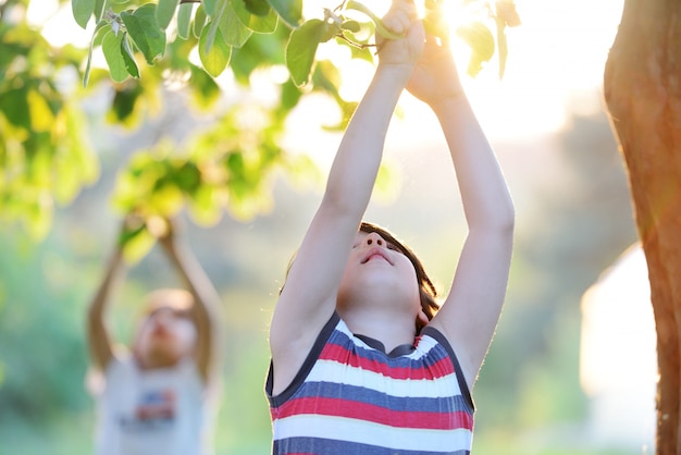 Foto bambino felice all'aperto nella natura che ha buon tempo