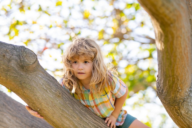 Happy kids climbing up tree and having fun in summer park