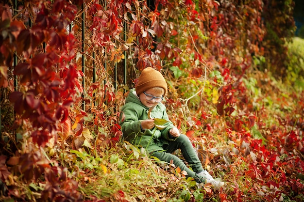Happy little boy in the park in autumn