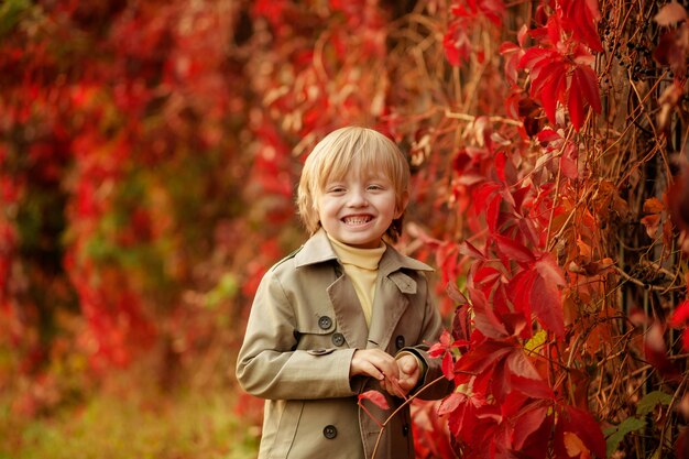 Счастливый маленький мальчик в парке осенью