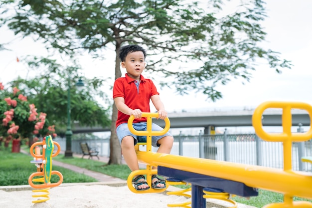 Happy little boy on seesaw outdoors