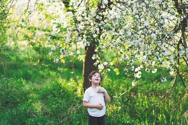 Happy little boy walking in spring garden child playing with\
branch of an apple treeand having fun kid exploring nature baby\
having fun spring activity for inquisitive children