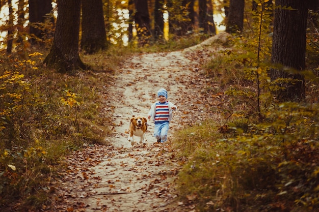 Happy little boy walking with his beagle dog in the park