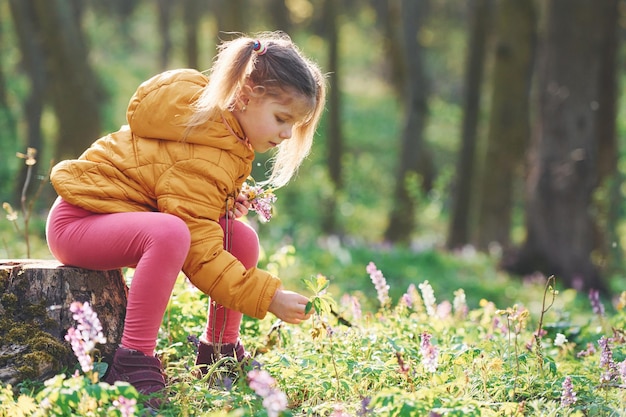 Счастливая маленькая девочка в повседневной одежде сидит в весеннем лесу днем