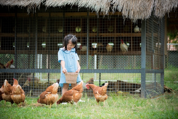 Happy little girl feeding chickens in front of chicken farm.