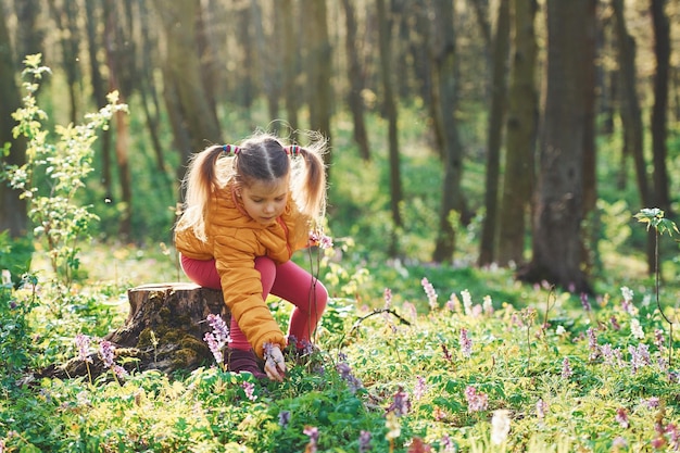 Фото Счастливая маленькая девочка в повседневной одежде сидит в весеннем лесу днем