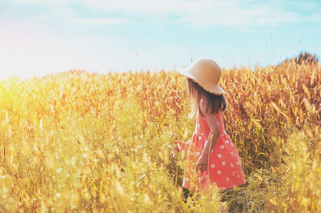 Happy little girl in a straw hat walks in a wheat field on a sunny summer day