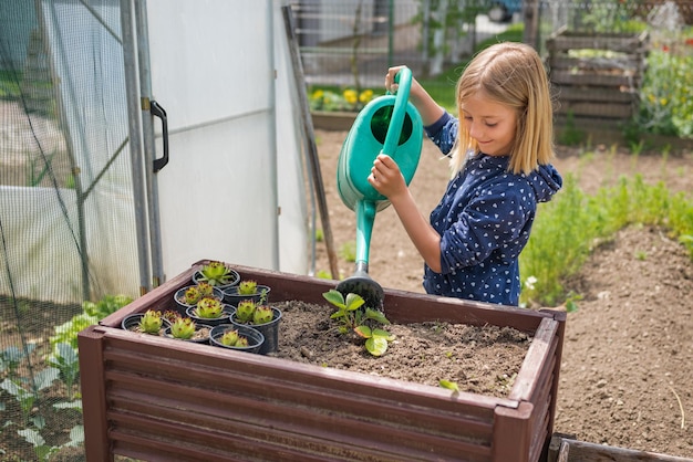 Happy little girl watering vegetable garden in spring