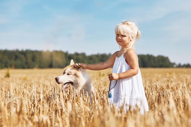 Happy little girl with a dog husky playing in the wheat field on sunset.