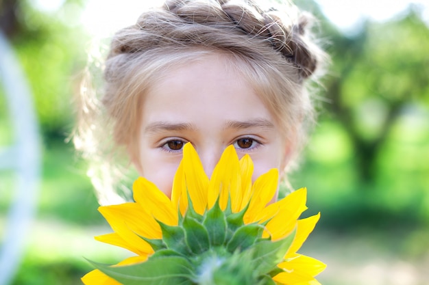 Happy little girl with pigtail hair with sunflower in summer garden. child covering face with sunflower. childhood concept. closeup portrait cute young blonde girl with big sunflower in front of face