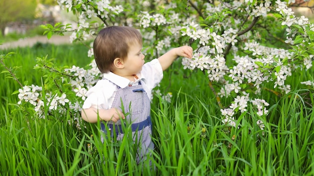 Ragazzino felice in tuta blu alla moda con bellissimi occhi azzurri. divertenti giochi nell'erba alta verde in un parco fiorito pieno di verde sullo sfondo di un melo.