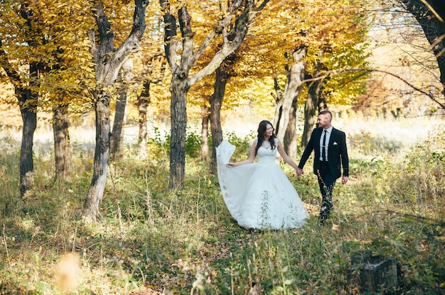Happy and in love bride and groom walk in autumn park on their wedding day