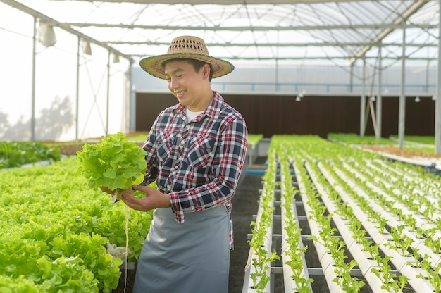 Photo happy male farmer working in hydroponic greenhouse farm, clean food and healthy eating concept