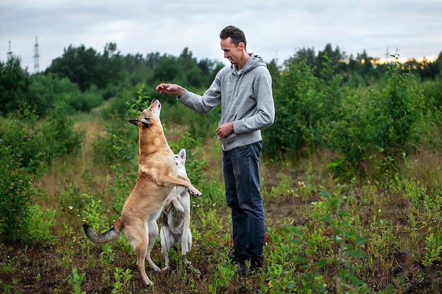 自然の中の緑の茂みの中でトレーニング中に従順な犬におやつを与える幸せな男性