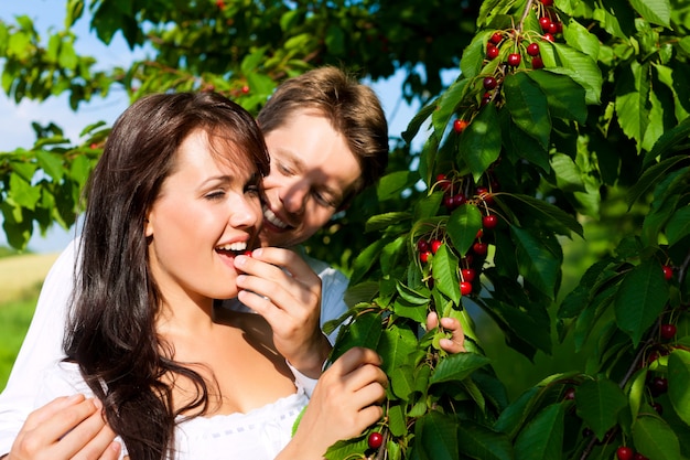 Uomo felice che alimenta le sue ciliege della donna dall'albero