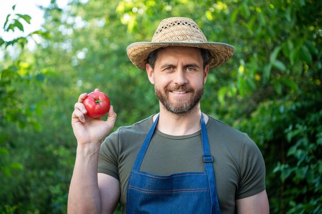 Happy man greengrocer in straw hat with tomato vegetable