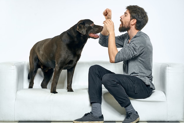 Happy man on sofa with his dog with dog at home