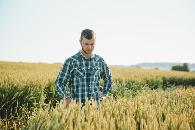 Foto felice tecnico maturo che controlla la crescita del grano per un controllo di qualità in un campo di cereali in estate