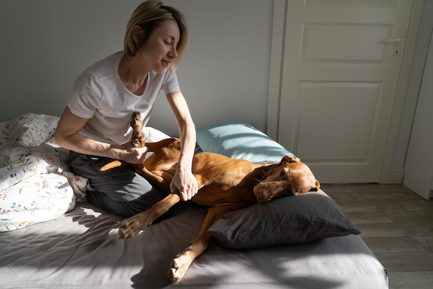 Happy middleaged blonde lady plays with sleepy Vizsla dog on bed in sunny morning