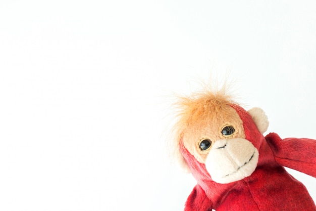 Happy monkey on white background.