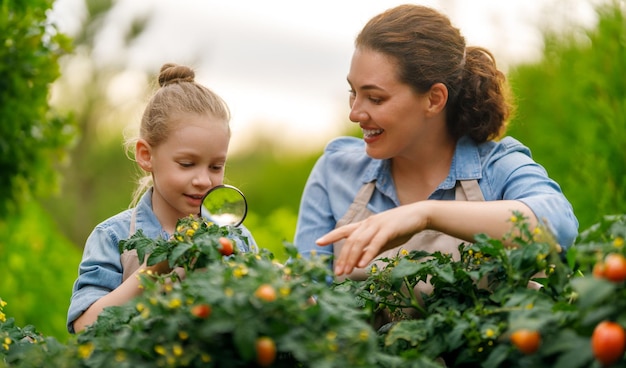 Happy mother and daughter gardening in the backyard Kid helping her mom and learning botany