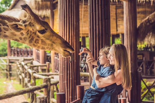 Happy mother and son watching and feeding giraffe in zoo. Happy family having fun with animals safari park on warm summer day