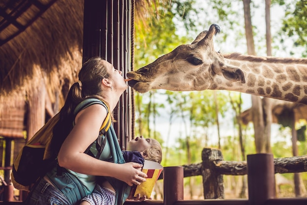 Счастливая мать и сын смотрят и кормят жирафа в зоопарке. Счастливая семья веселится с сафари-парком с животными в теплый летний день