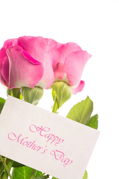 Happy mothers day card with pink roses