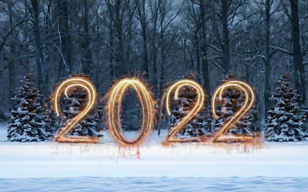 Foto buon anno nuovo 2024.