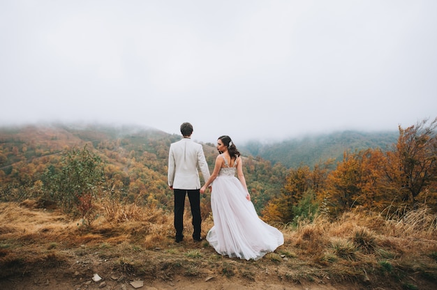 新しく結婚した幸せなカップルが山にポーズをとる