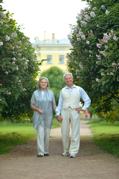 Happy nice mature couple walking together outdoors