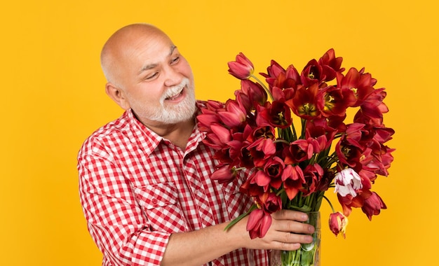 수염을 기른 행복한 은퇴한 남자는 노란 배경에 봄 튤립 꽃을 들고 있다