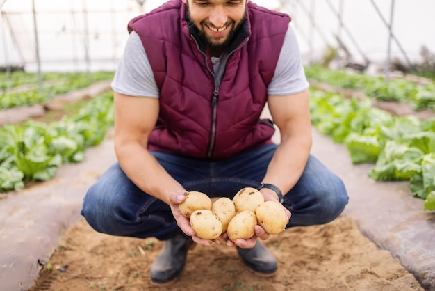 Happy potato farmer greenhouse farm and vegetable garden with sustainable organic agriculture and a healthy natural harvest Modern sustainability farm indoor crop and modern agriculture farming