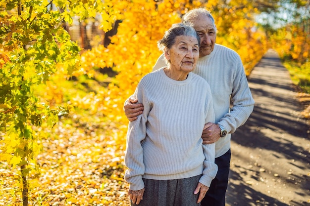 秋の森の家族の年齢の季節の幸せな高齢者と人々の概念秋の木の背景の上を歩く幸せな年配のカップル
