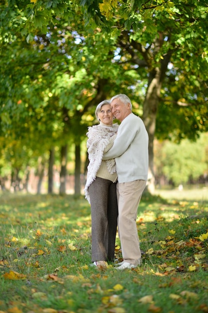 Happy Senior couple in autumn park hugging