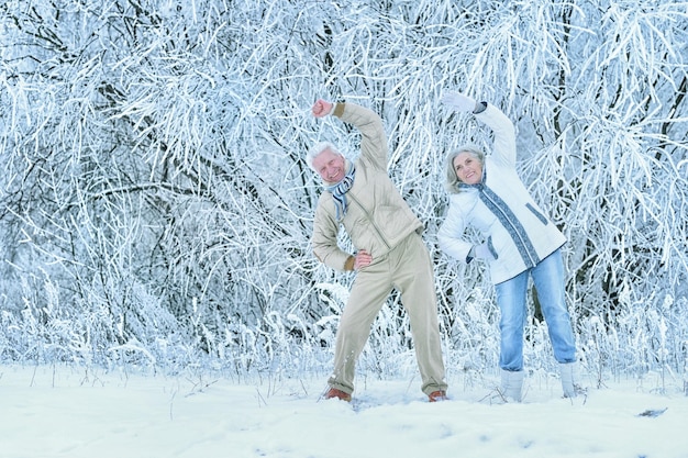 Happy senior couple doing exercises at winter