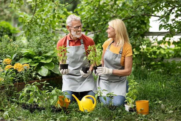 Счастливая старшая пара занимается садоводством, ухаживает за растениями и улыбается друг другу.