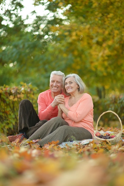 秋の公園でピクニックをしている幸せな年配のカップル