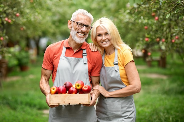 Happy senior couple holding crate full of apples in fruit orchard