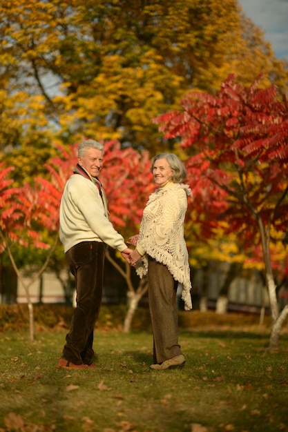 Happy senior couple holding hands in park